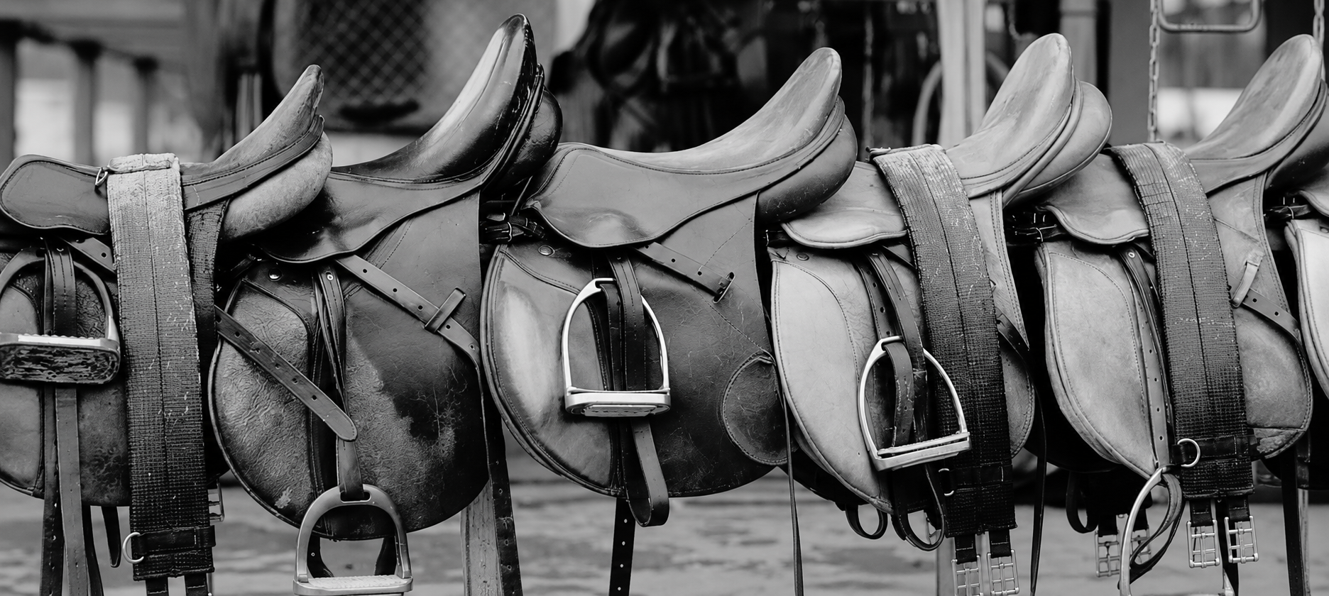 Saddle Accessories