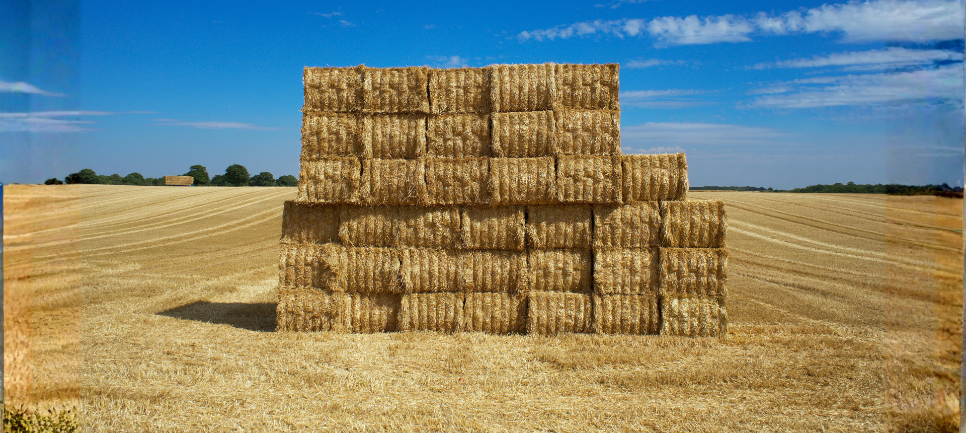 Hay, Straw & Bedding
