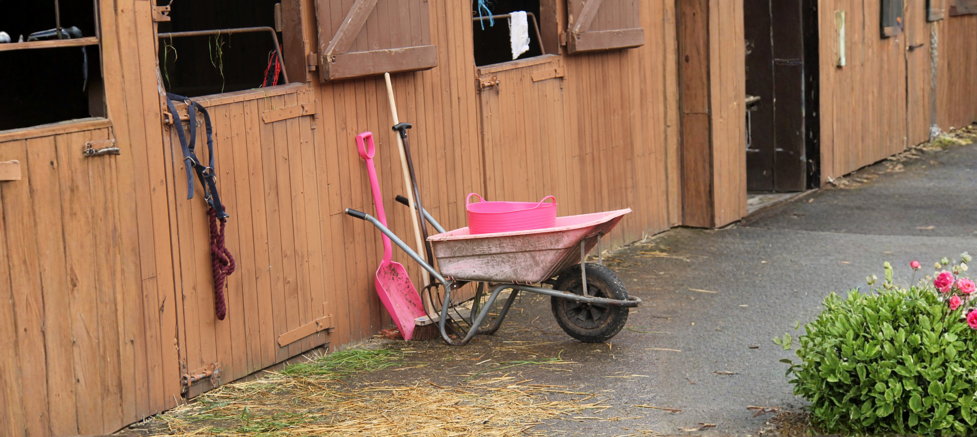 Stable Accessories