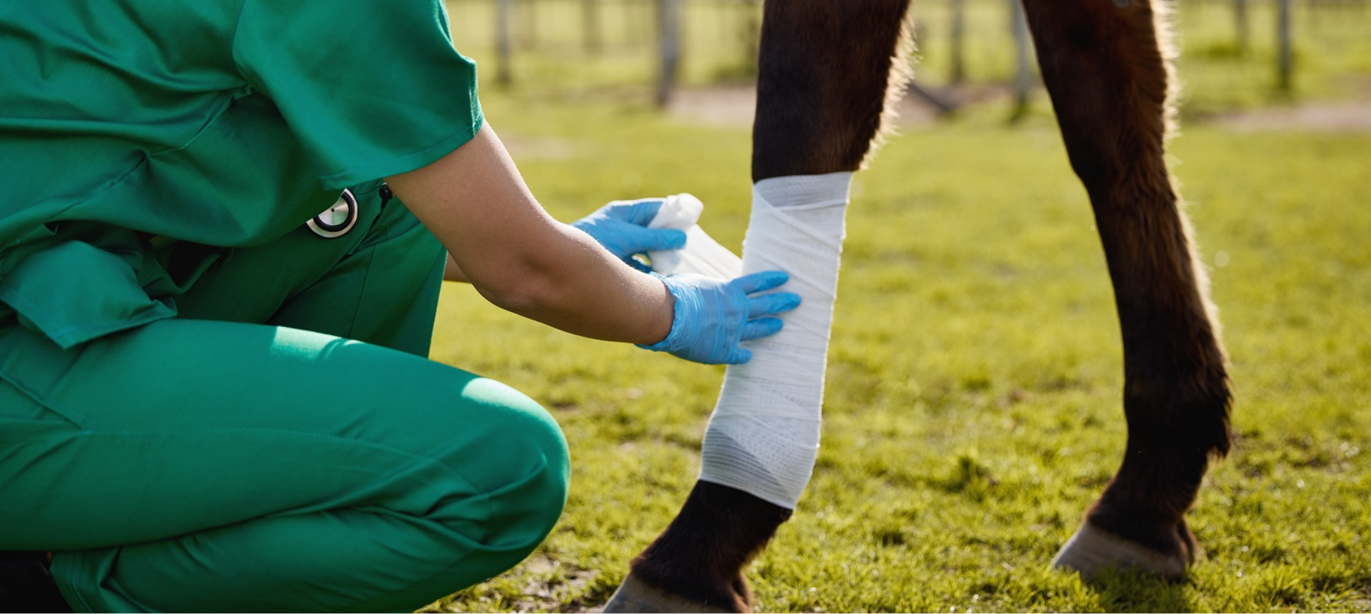 Vet & First Aid Products