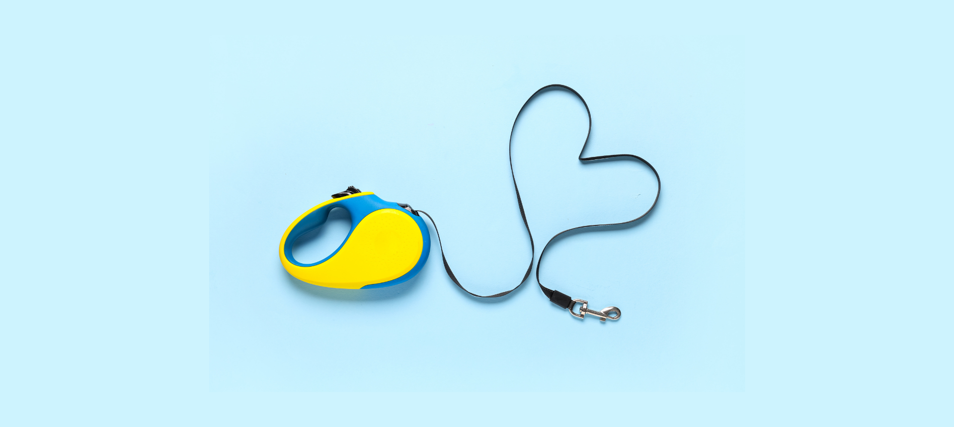 Dog Collars & Leads