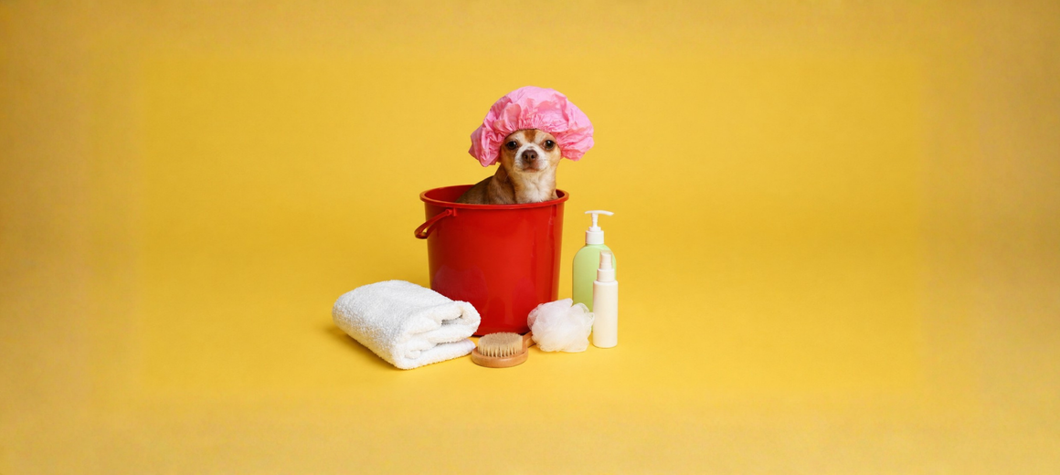 Dog-and-puppy-shampoo