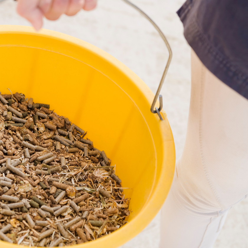 Horse Feed