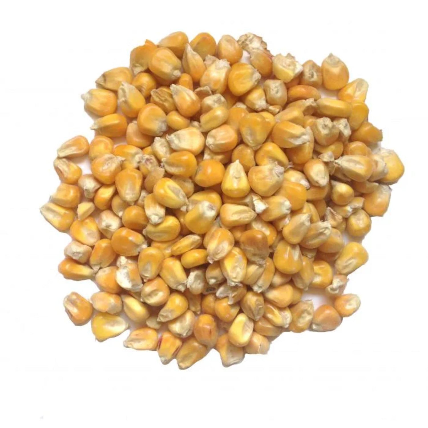 TF Whole Maize 20Kg
