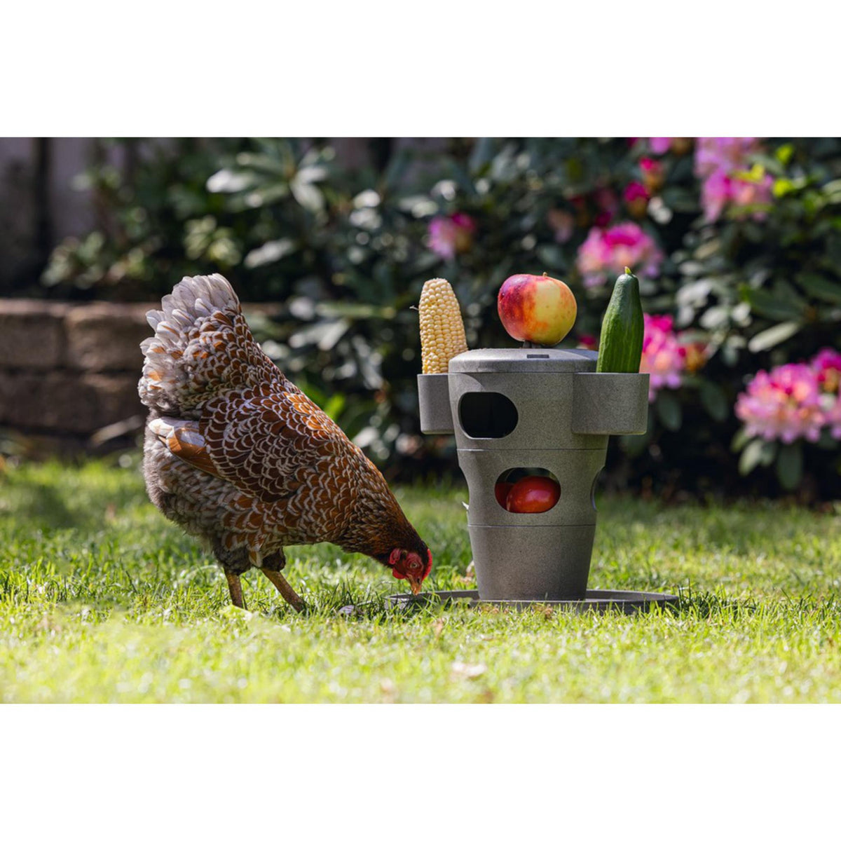 Gaun Chicken Snack & Feed Tower