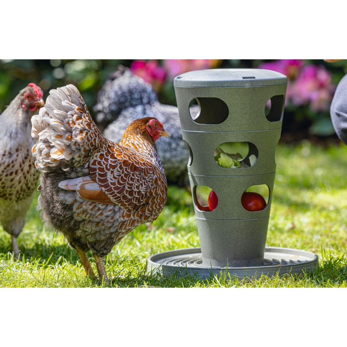 Gaun Chicken Feed Tower