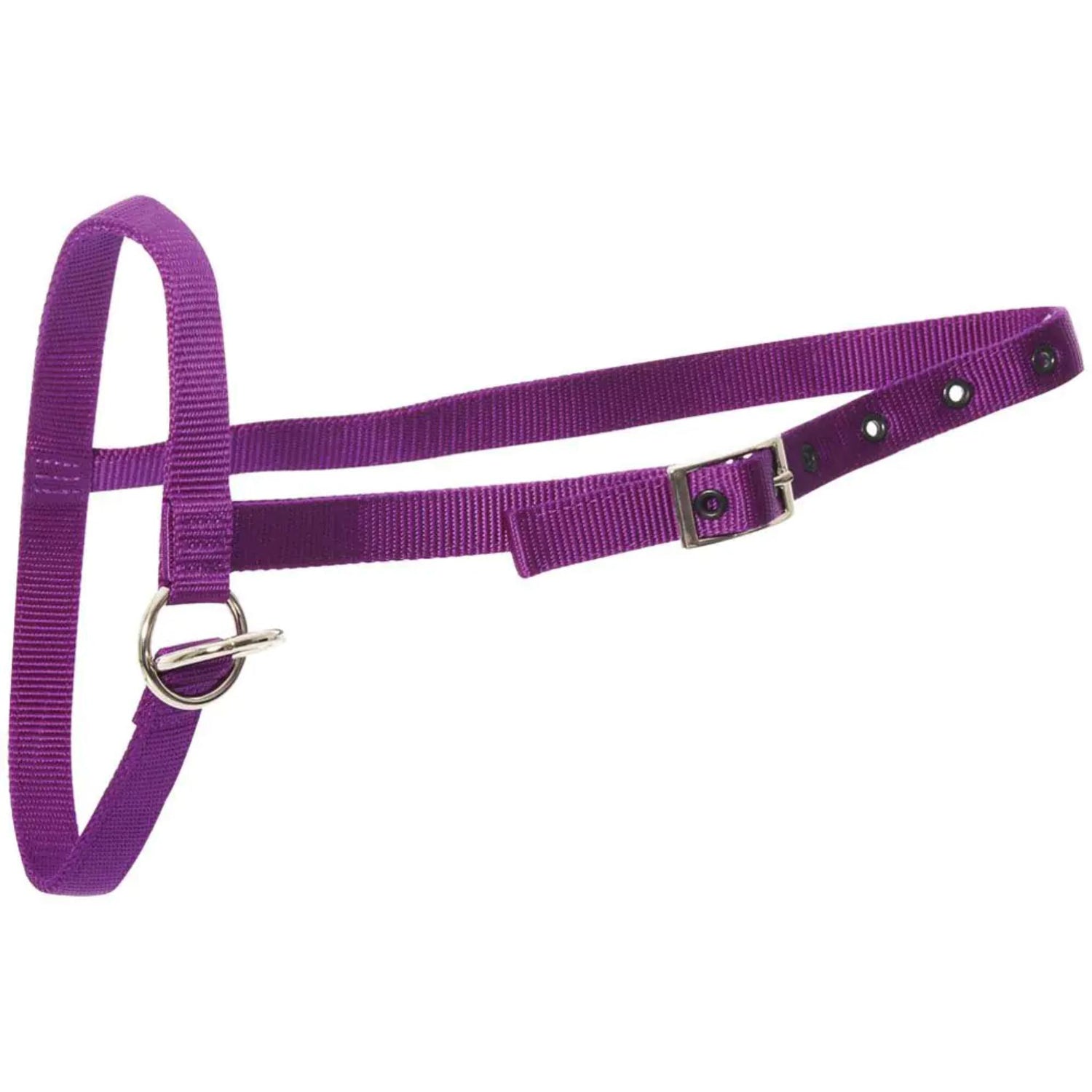 Halter Nylon Calf Leading