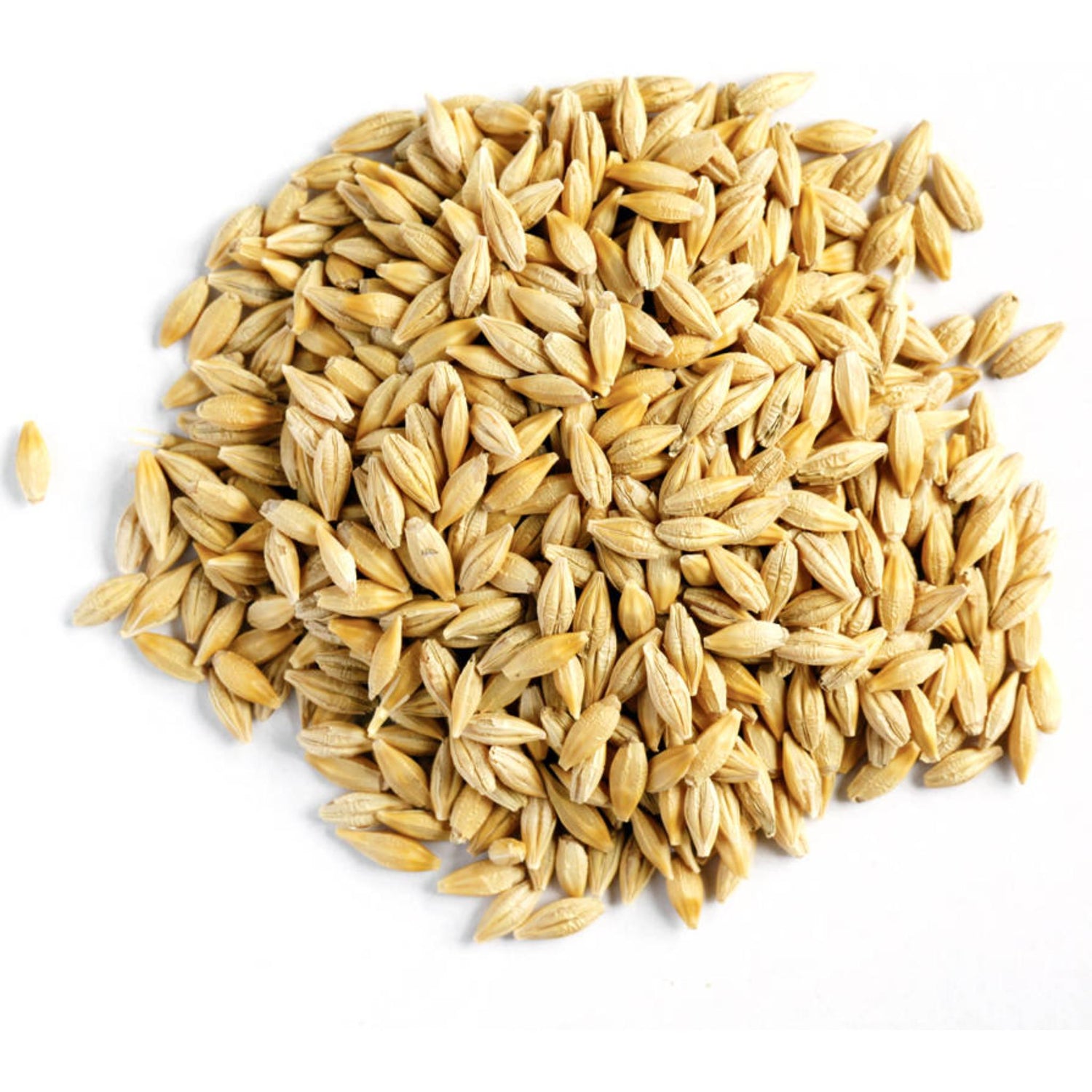 Fiskens Whole Barley 25KG