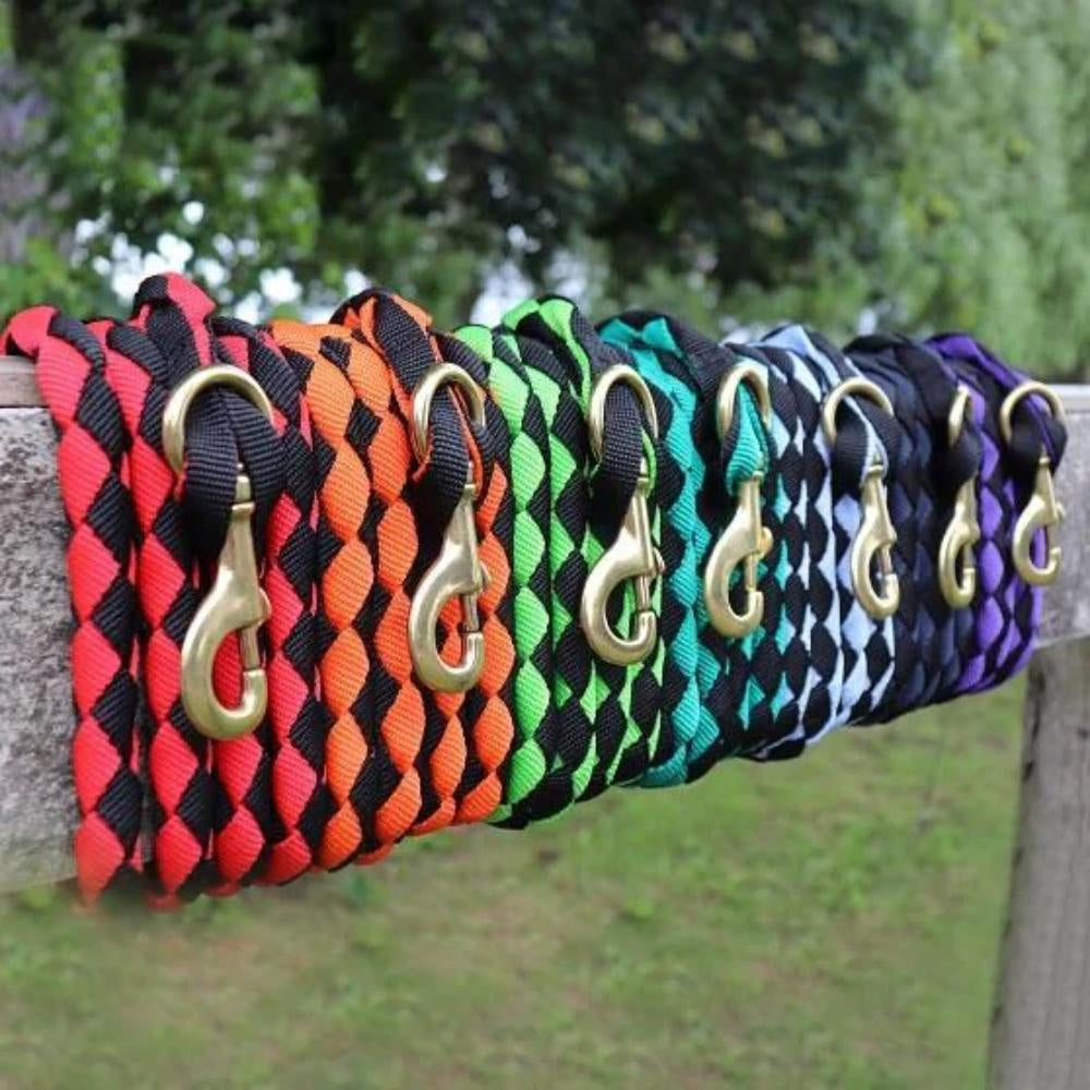 Chevalier Plaited Web Lead w Brass