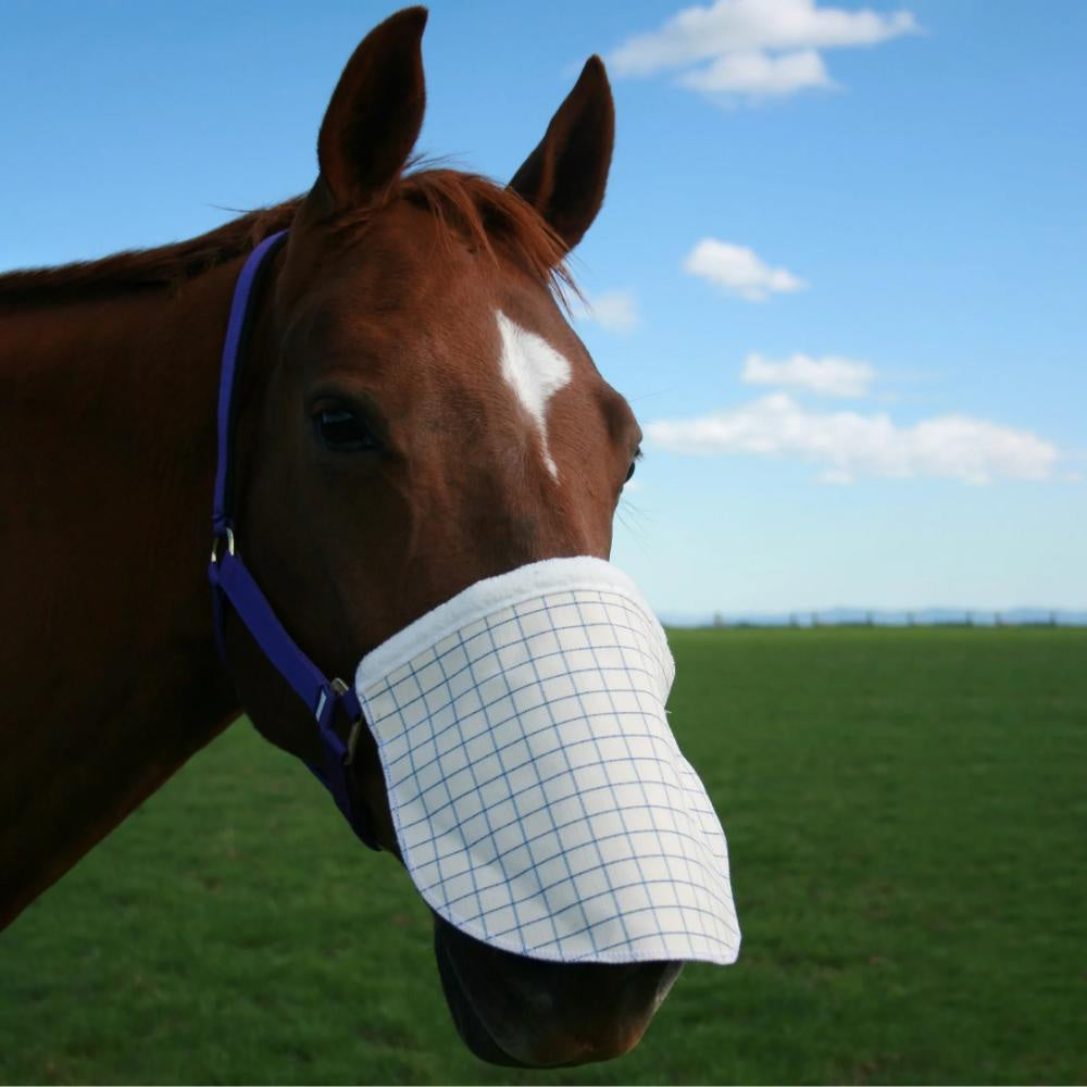 cotton-nose-shade