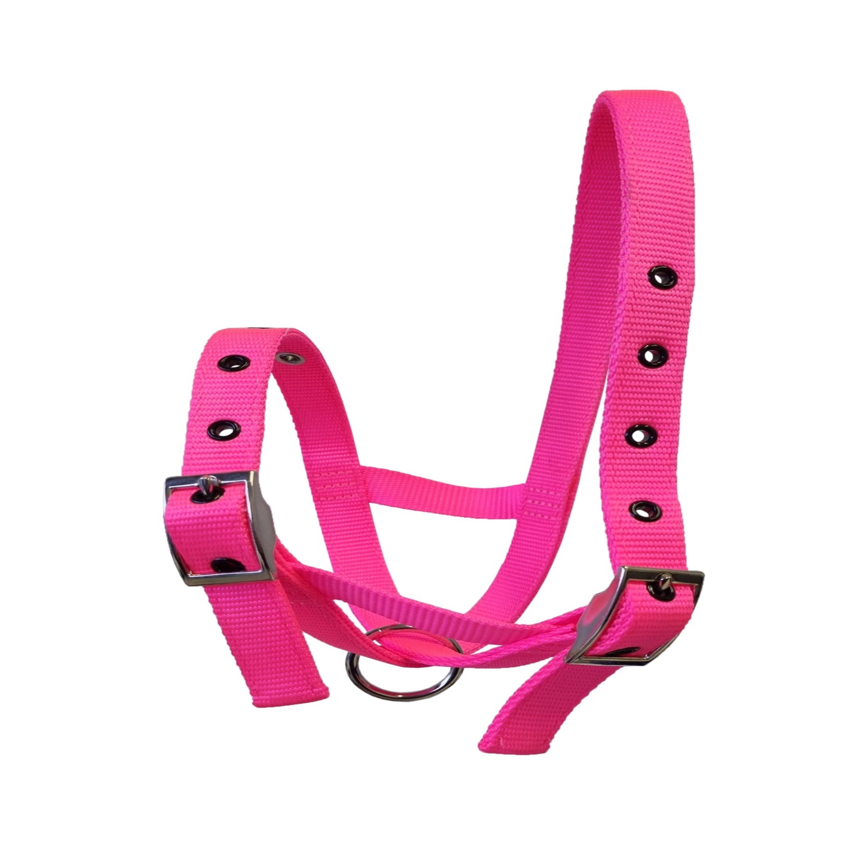 Bright pink nylon calf halter with silver metal buckles and a silver metal ring, shown on a plain white background.