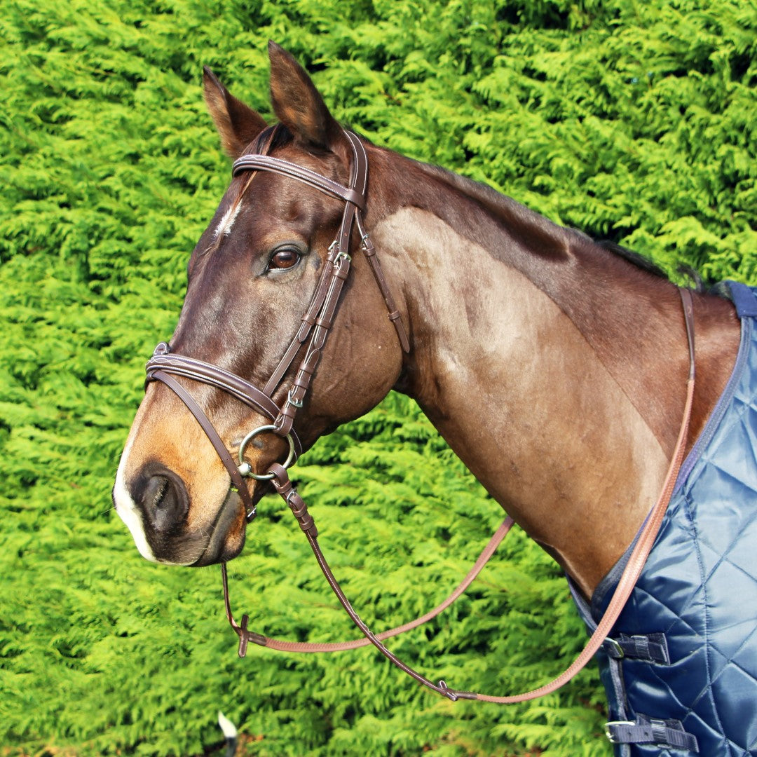 cavallino-anatomic-bridle