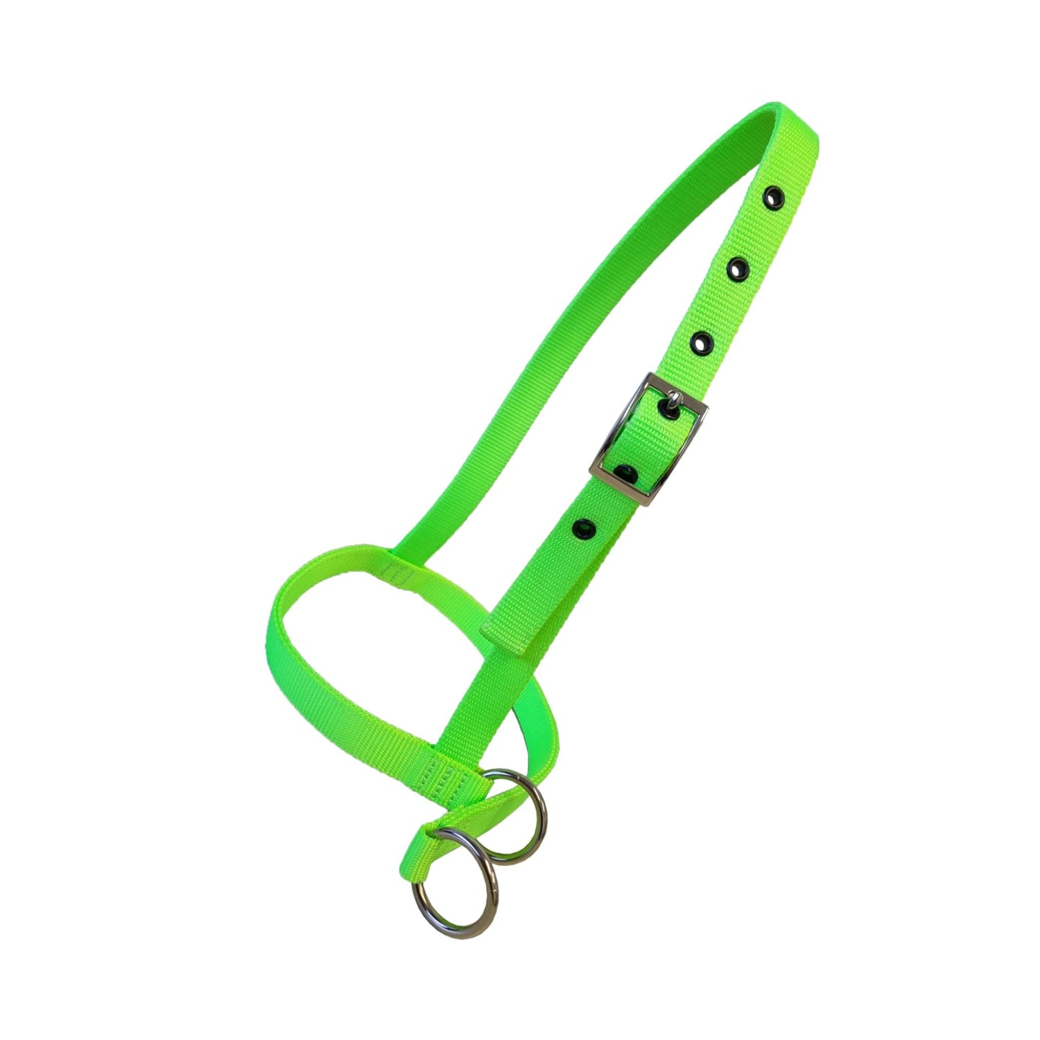A bright neon green nylon pet halter with a silver metal buckle, silver eyelets, and two silver metal rings at the nose, shown on a plain white background.
