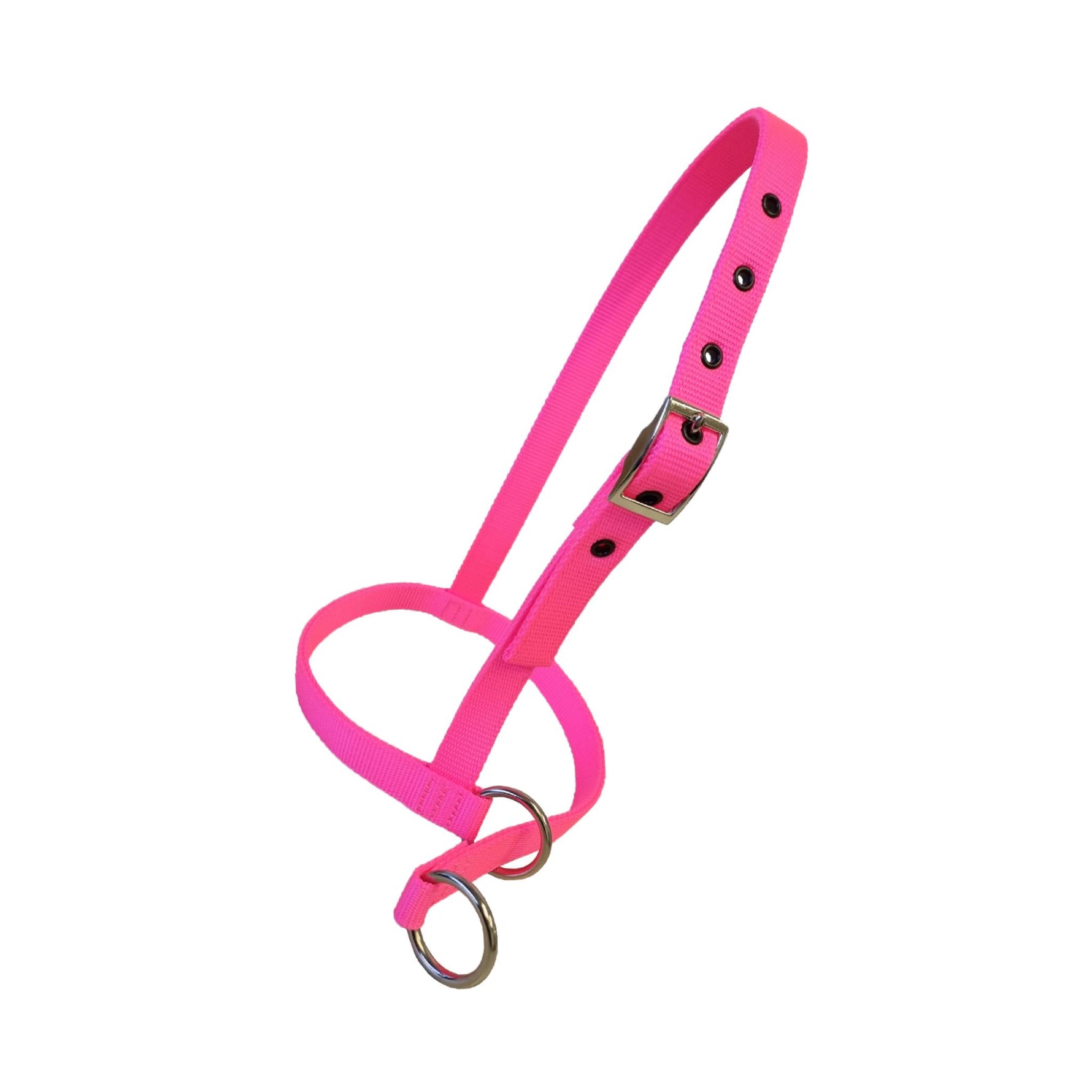 A bright pink dog halter with silver metal rings and buckle, displayed on a clean white background.