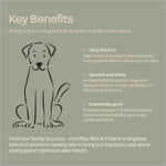 fourflax-skin-and-coat-dog