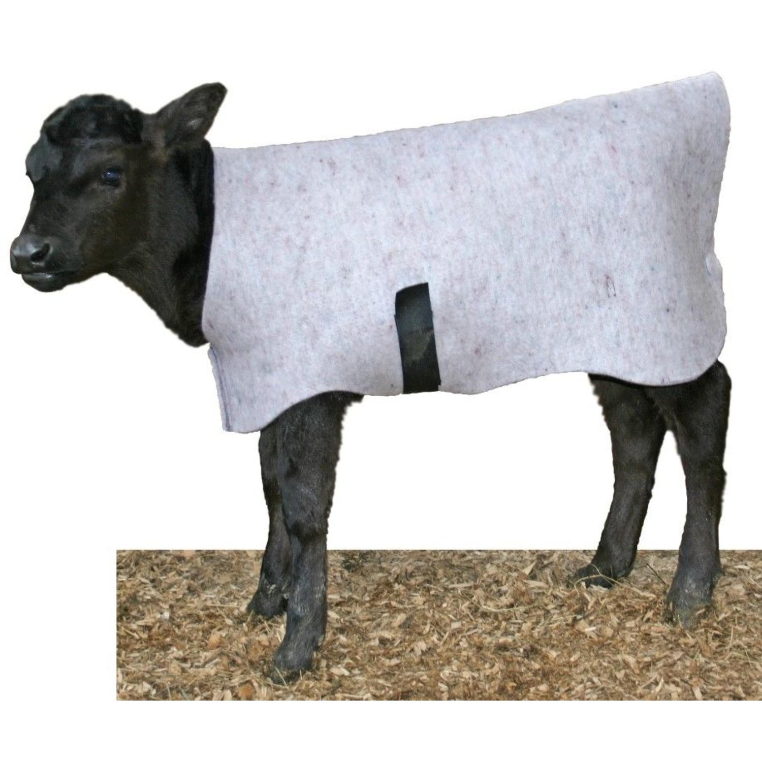 Cosy Coat Calf Cover