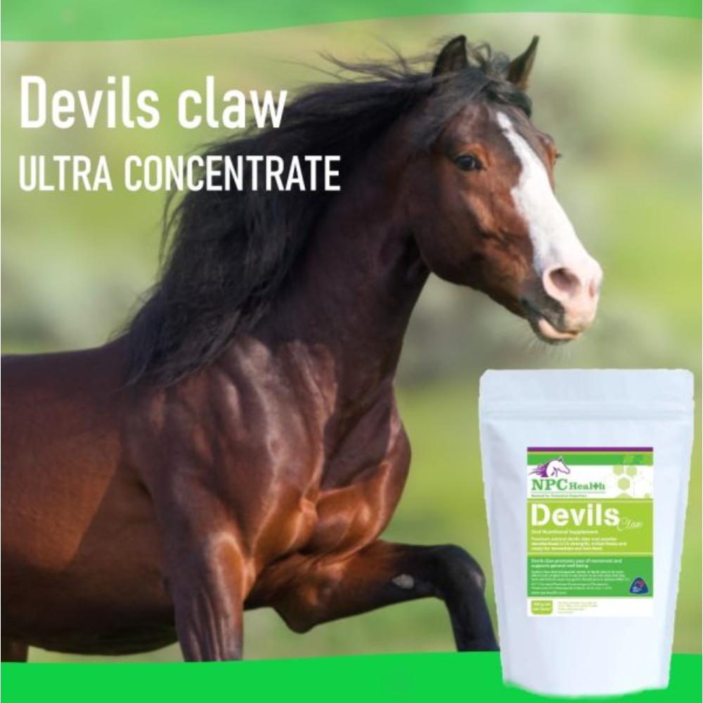 NPC Devils Claw 500g
