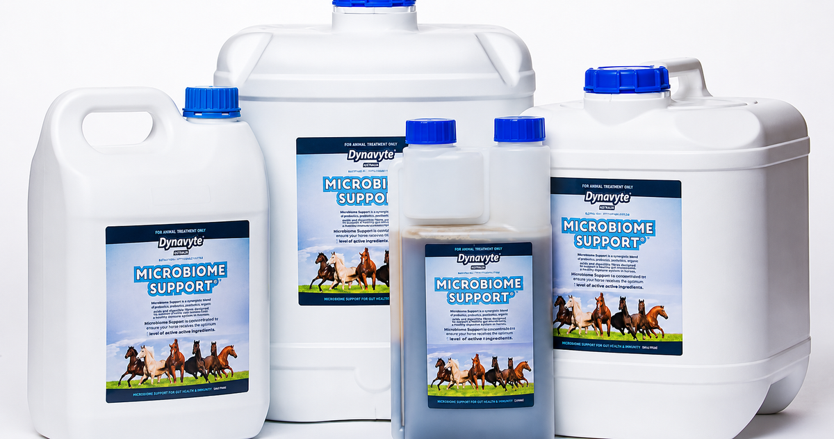 Bottles of Equine Plus Microbiome Support on a white background