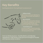 fourflax-equine-biotin-supplement