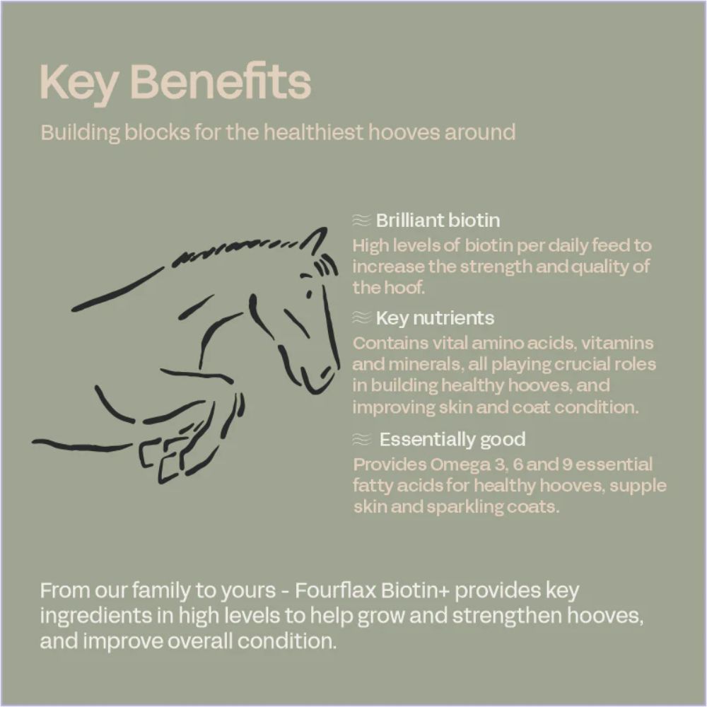 fourflax-equine-biotin-supplement