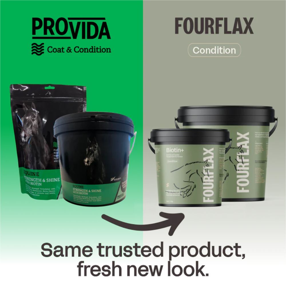 fourflax-equine-biotin-supplement