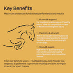 fourflax-equine-bone-joint-powder