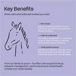 fourflax-equine-calm