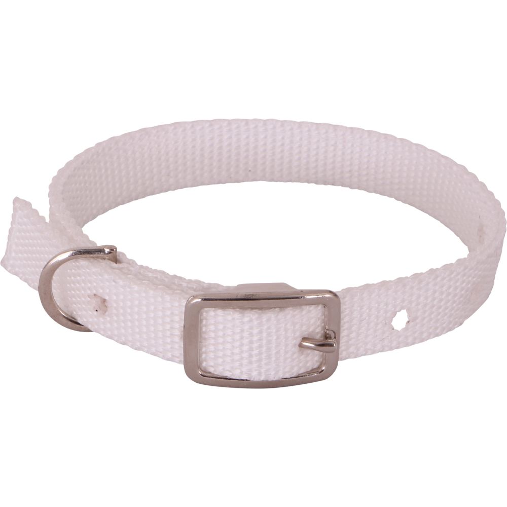 Flair-Lamb-Collar-White