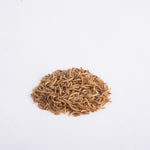 Pile of dried mealworms on a white background