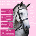 A pink promotional graphic with a close-up photo of a gray horse wearing a black bridle. Large text at the top reads 'What are the benefits of Opti-Mize?' and several pink callout boxes on the left list product benefits with icons, while circular check marks on the right say 'Proven mycotoxin profile' and 'All-in-one support for health & behaviour'.