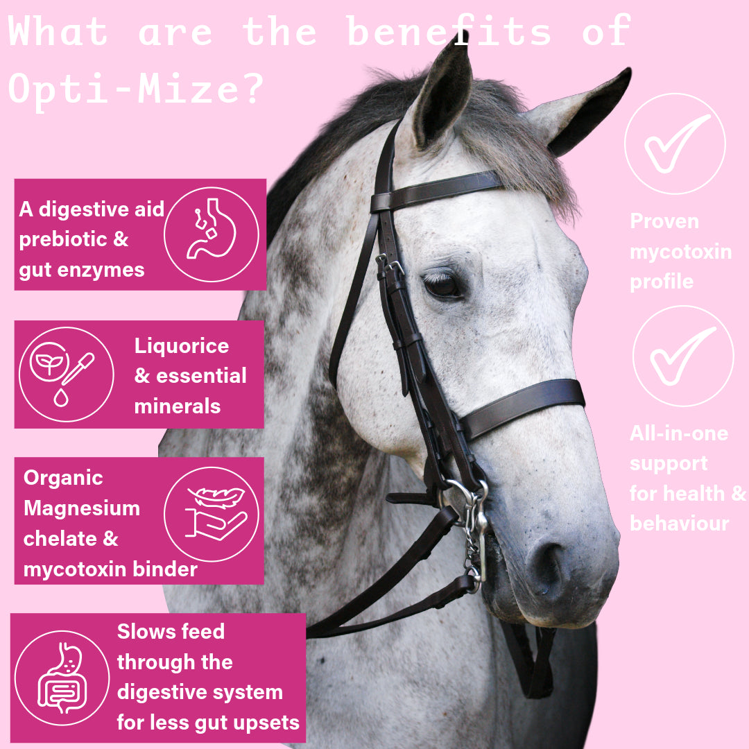 A pink promotional graphic with a close-up photo of a gray horse wearing a black bridle. Large text at the top reads 'What are the benefits of Opti-Mize?' and several pink callout boxes on the left list product benefits with icons, while circular check marks on the right say 'Proven mycotoxin profile' and 'All-in-one support for health & behaviour'.