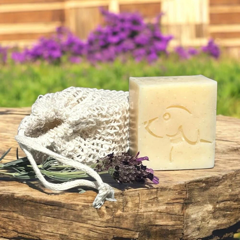 Eco Dog Pure Paws Soap Block
