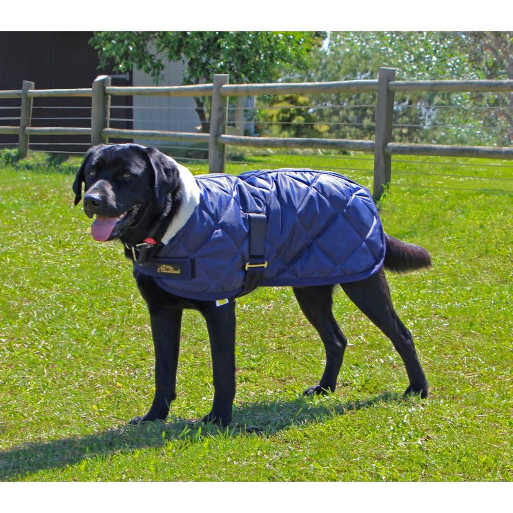 Cavallino Sherwood Dog Coat 420D