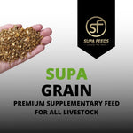 A promotional graphic for SUPA Grain premium supplementary feed for all livestock, showing a hand holding a handful of the granular feed on the left, a black SUPA Feeds logo banner on the upper right, and large green and black text on a light-to-dark gray gradient background.