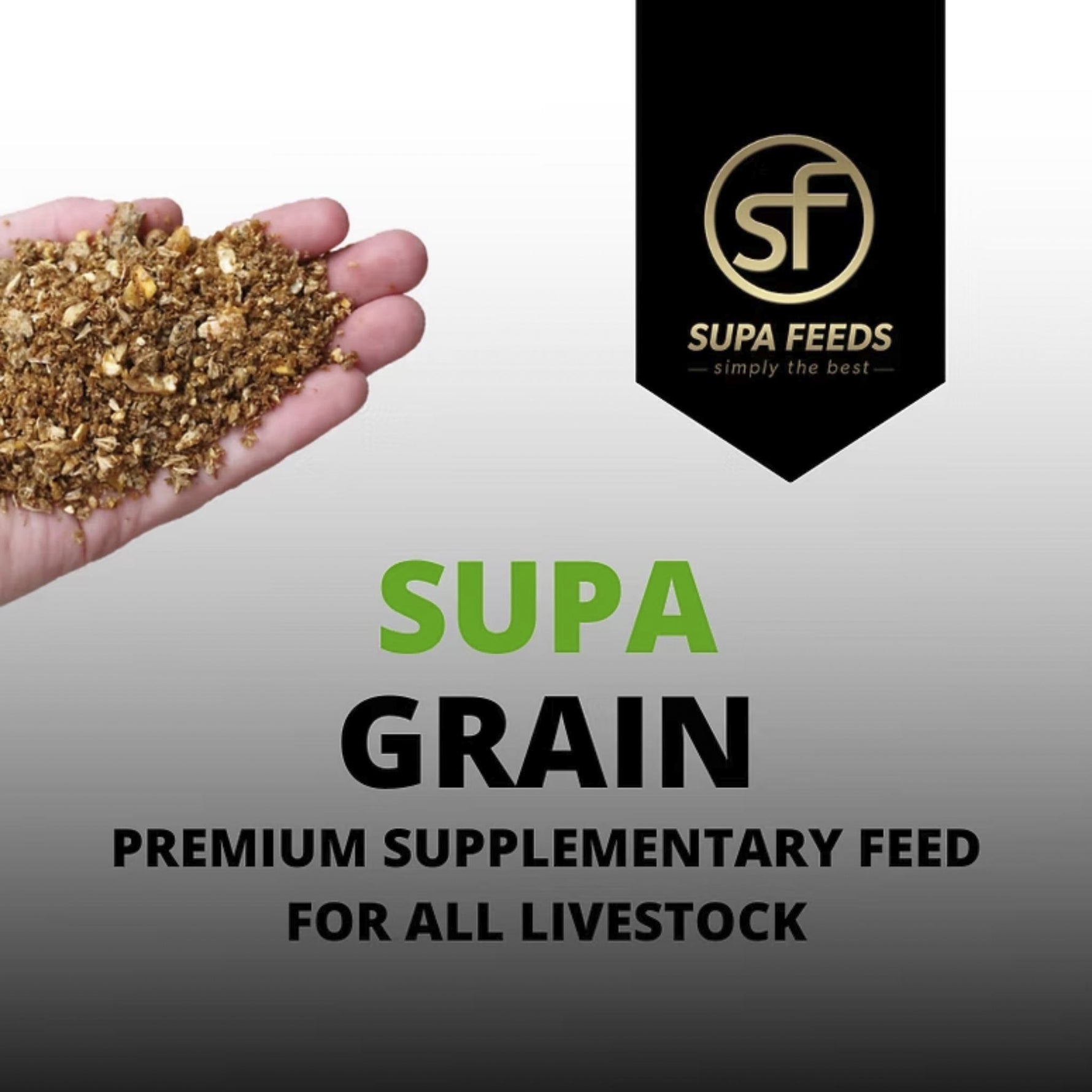 A promotional graphic for SUPA Grain premium supplementary feed for all livestock, showing a hand holding a handful of the granular feed on the left, a black SUPA Feeds logo banner on the upper right, and large green and black text on a light-to-dark gray gradient background.