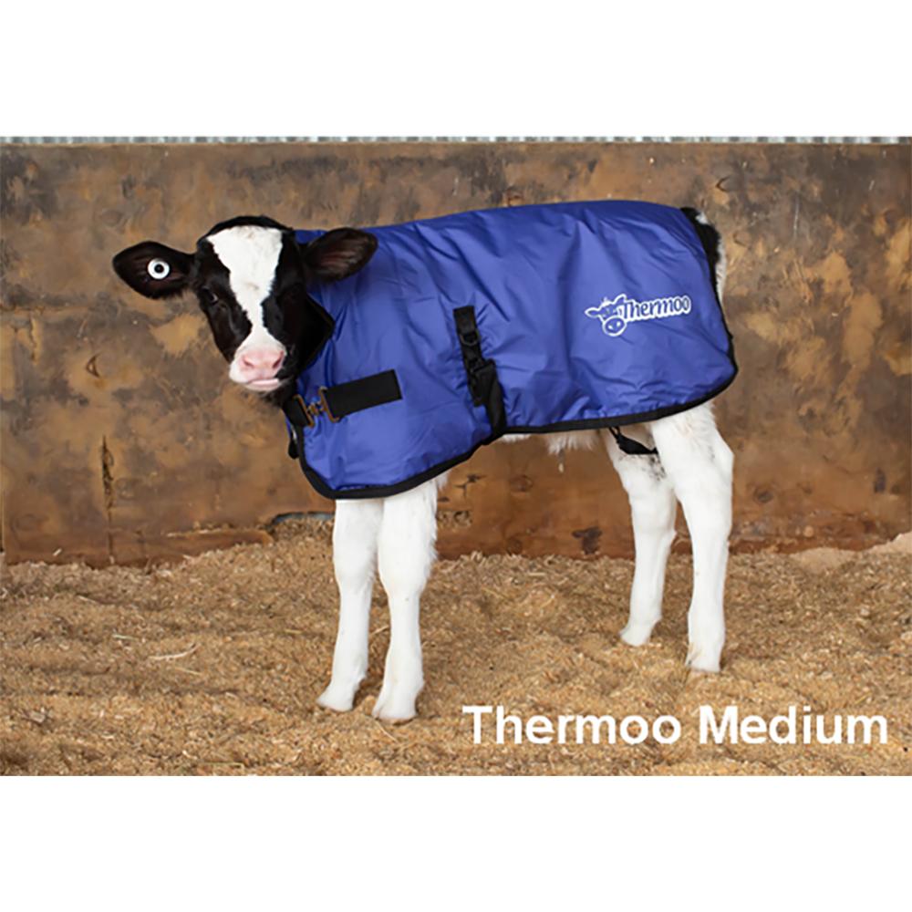 thermoo-calf-cover-pink