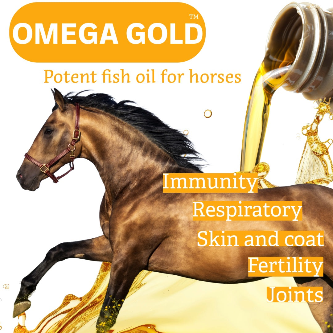 NPC Omega GOLD