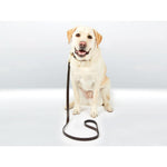 WB-Padded-Leather-Dog-Lead
