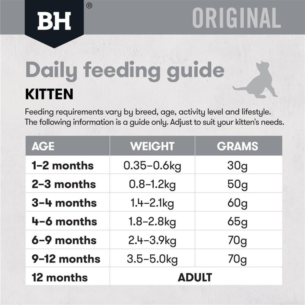 black-hawk-kitten-food-chicken-and-rice-feeding-guide
