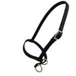 Black horse halter with silver metal hardware, including a buckle, rings, and eyelets, shown on a plain white background.