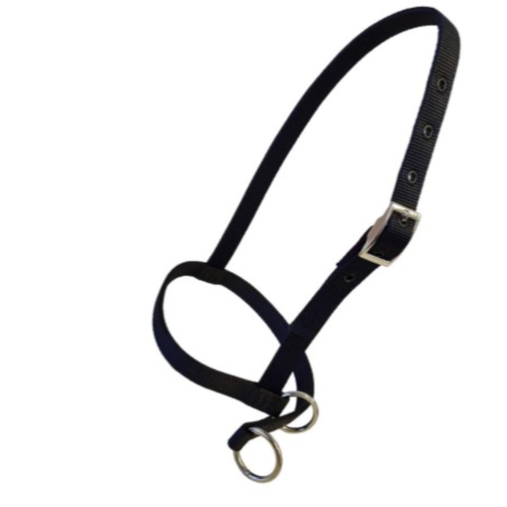 Black horse halter with silver metal hardware, including a buckle, rings, and eyelets, shown on a plain white background.