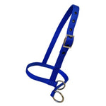 A royal blue nylon calf halter with a silver-tone metal buckle, adjustment holes, and two metal rings at the nose, shown on a plain white background.