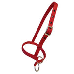 A red nylon calf halter with silver-tone metal hardware, including a buckle, adjustment holes, and a ring for a leash, shown on a plain white background.