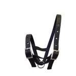 A black nylon calf halter with silver metal buckles and a silver metal ring, shown against a plain white background.