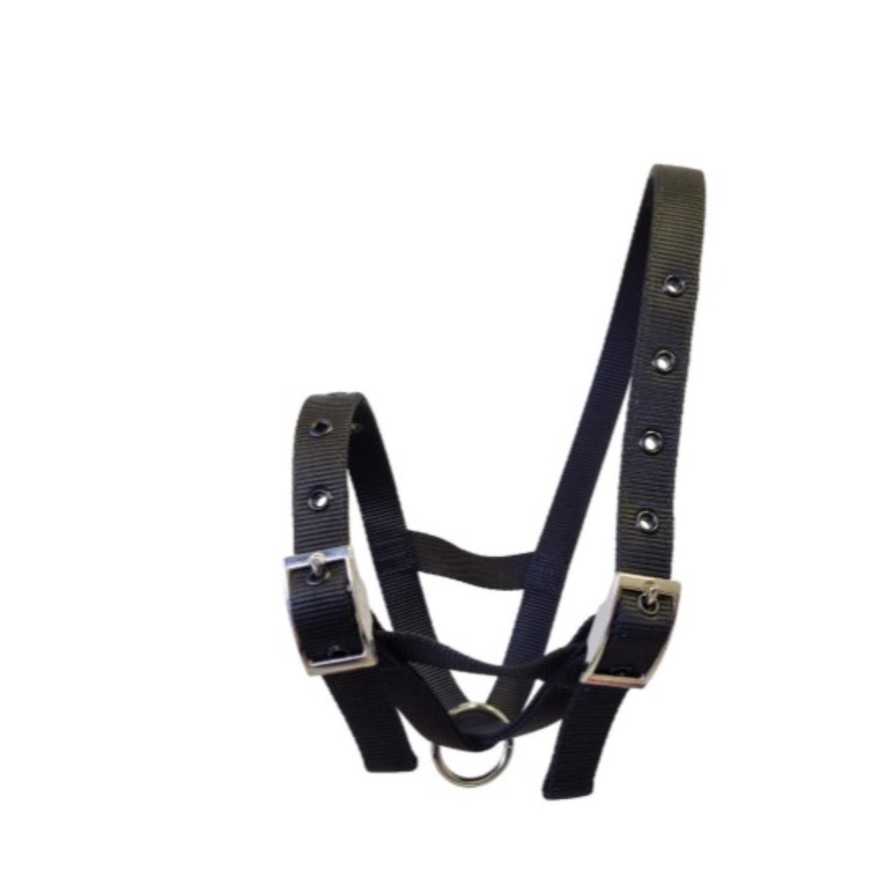 A black nylon calf halter with silver metal buckles and a silver metal ring, shown against a plain white background.