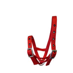 A red nylon calf halter with silver metal buckles and a silver metal ring, shown against a plain white background.