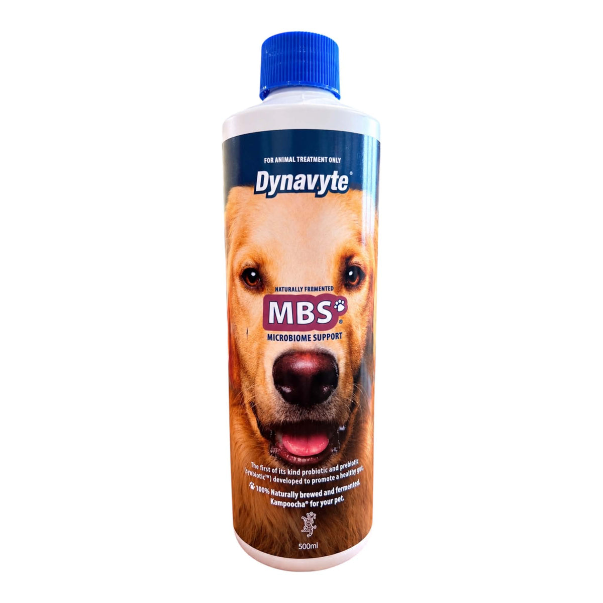 A 500ml bottle of Dynavyte MBS Microbiomas Support pet treatment spray for dogs, featuring a golden retriever dog on the label and a blue cap, set against a plain white background.