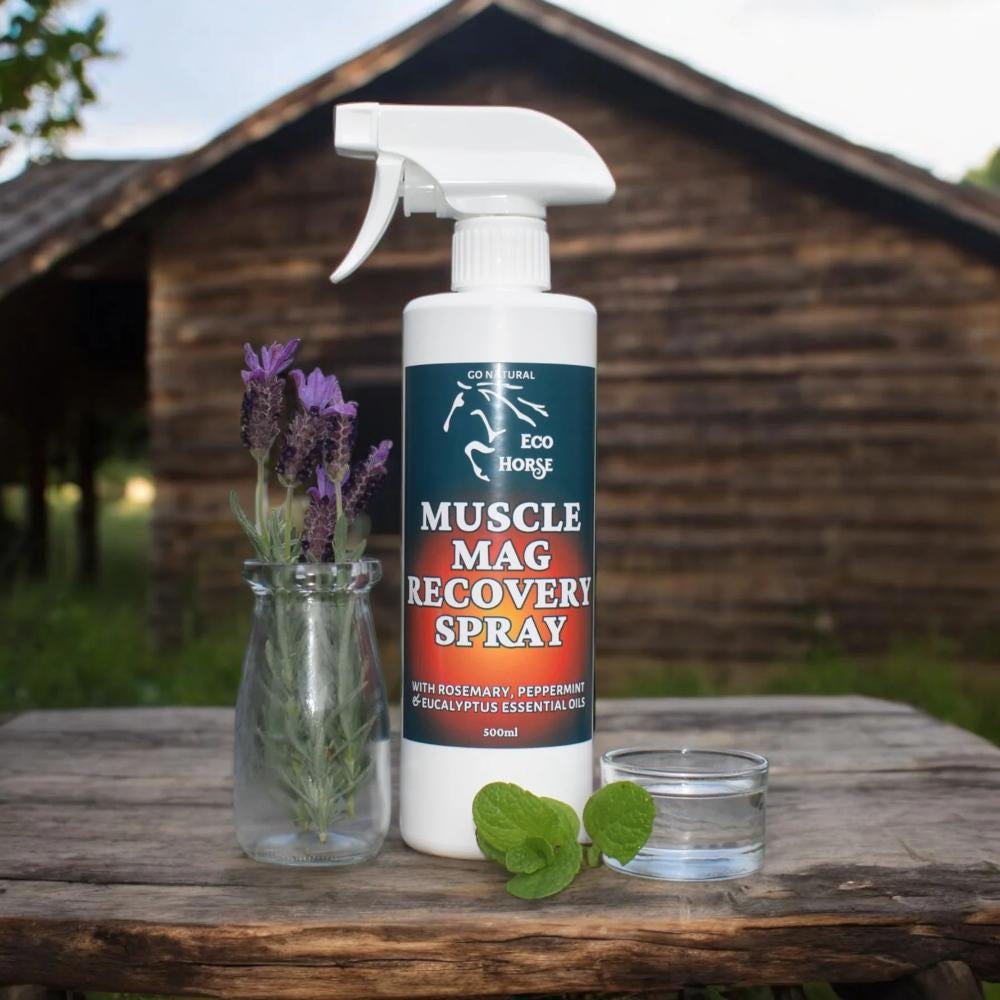 eco-horse-muscle-mag-recovery-spray