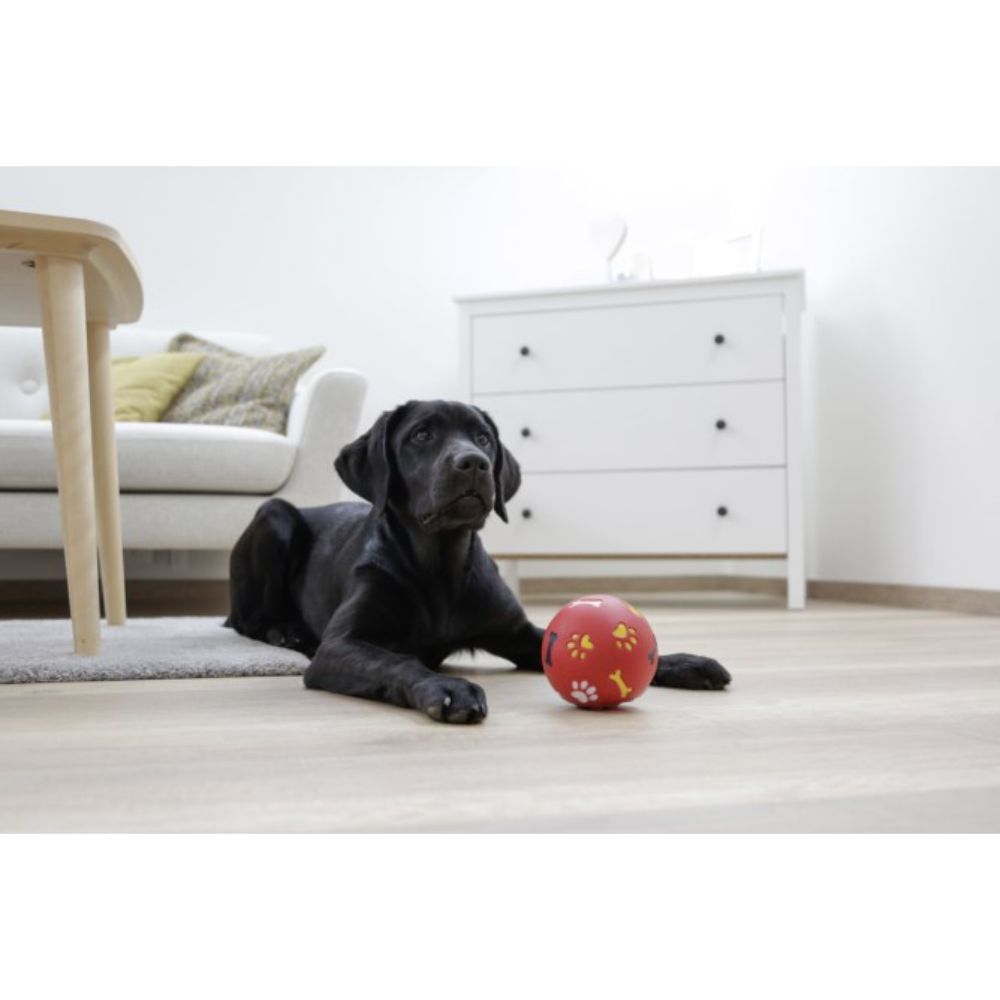 kerbl-snack-ball-with-dog