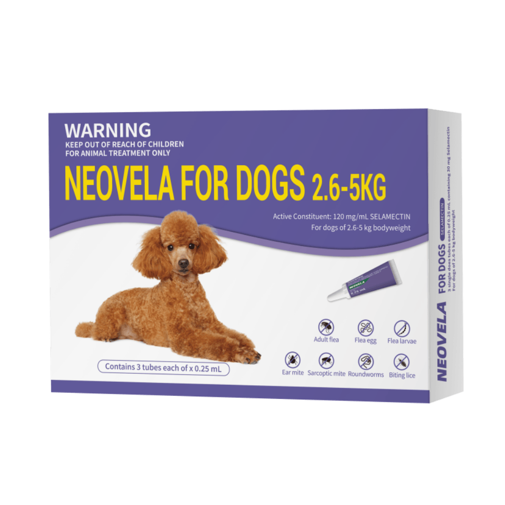 A box of Neovela for Dogs 2.6-5kg veterinary treatment, featuring a purple and white design with a picture of a brown poodle and yellow text.